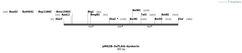 89491_map