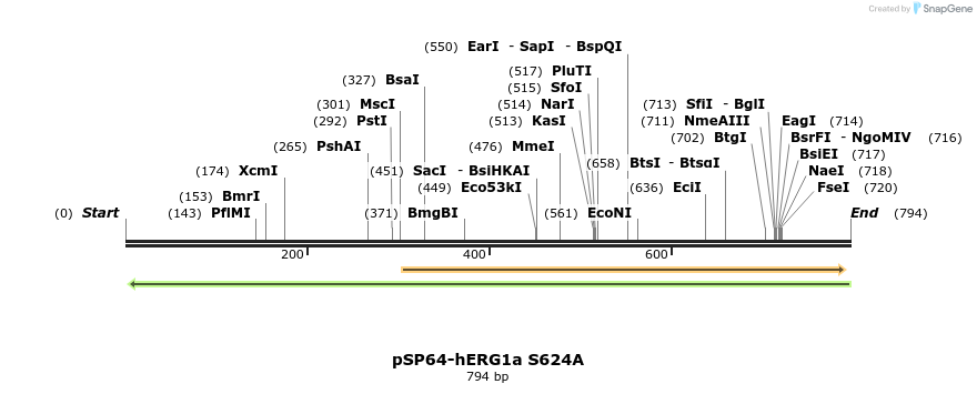89492_map