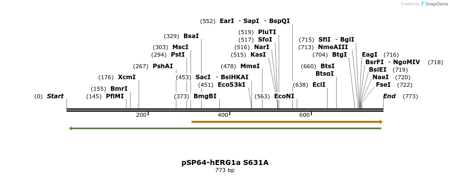 89493_map