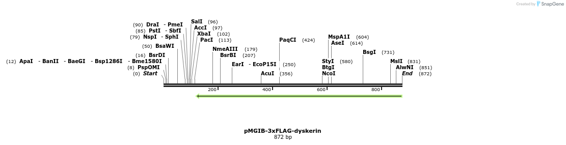 89494_map