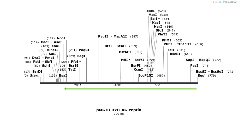 89497_map