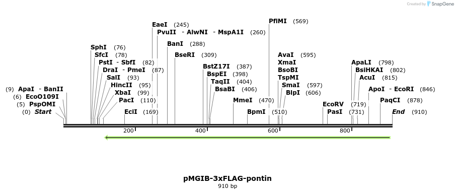 89498_map