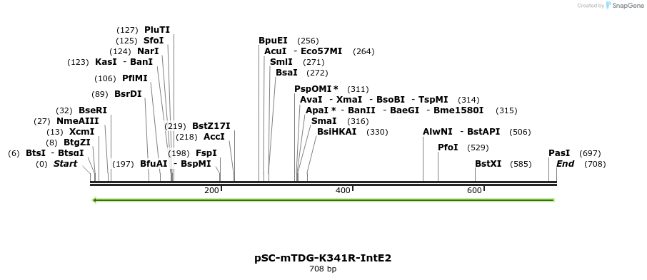 89502_map