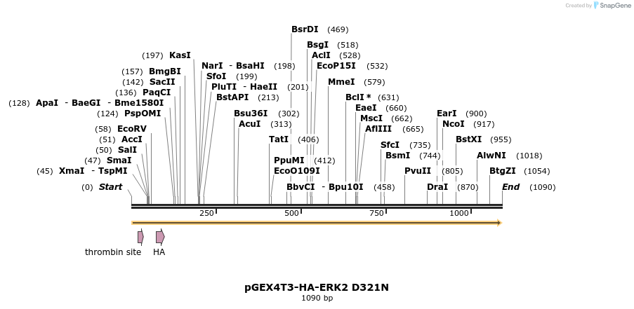 89503_map
