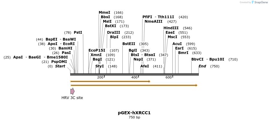 89504_map