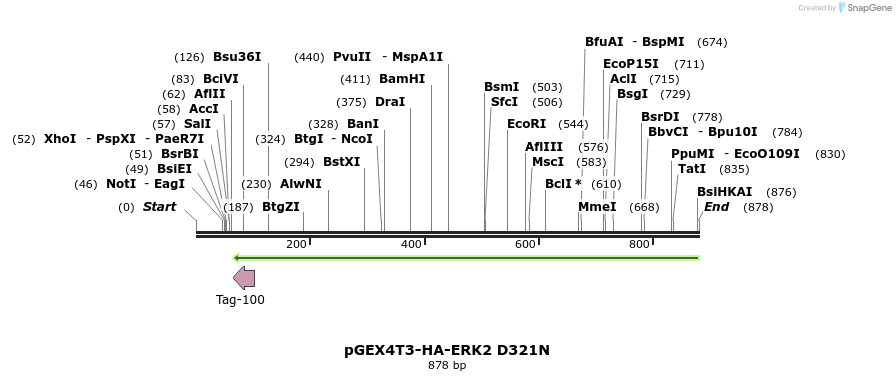 89505_map