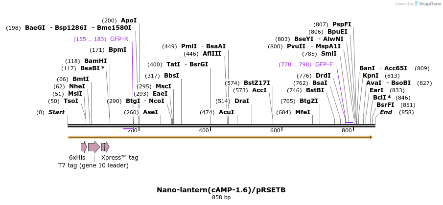 89509_map