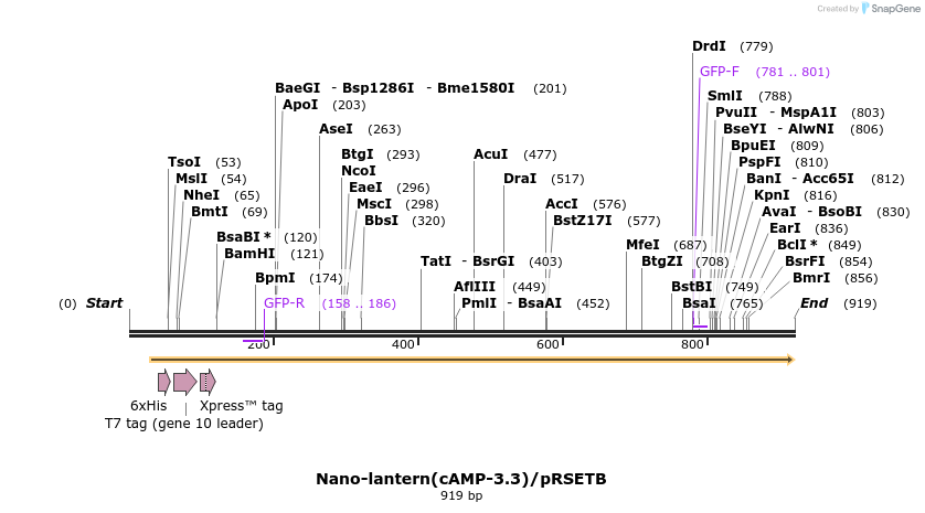 89512_map