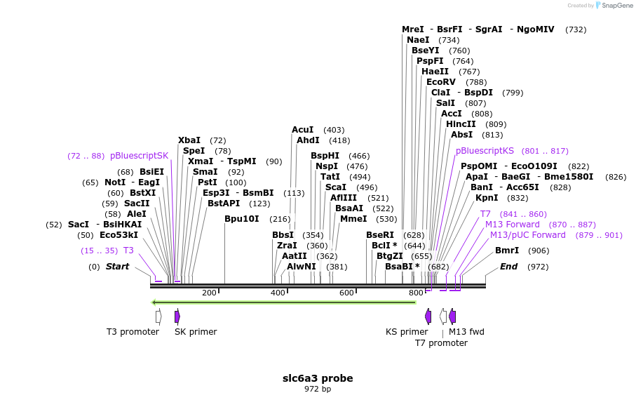 89514_map