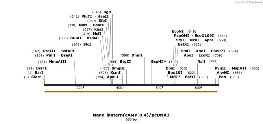 89517_map