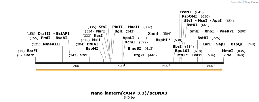 89518_map