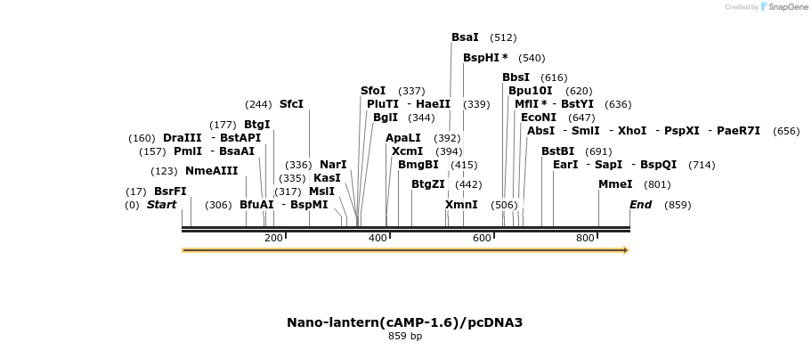 89519_map