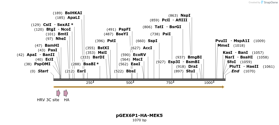 89520_map