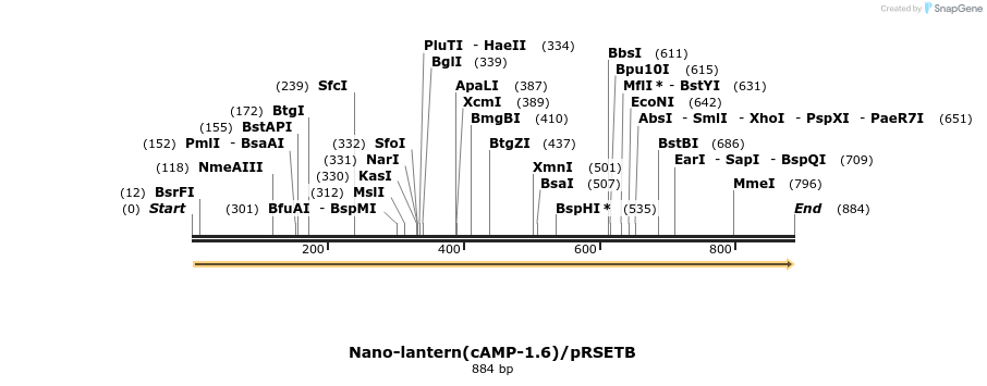89522_map