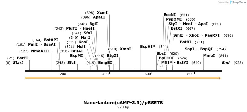 89525_map