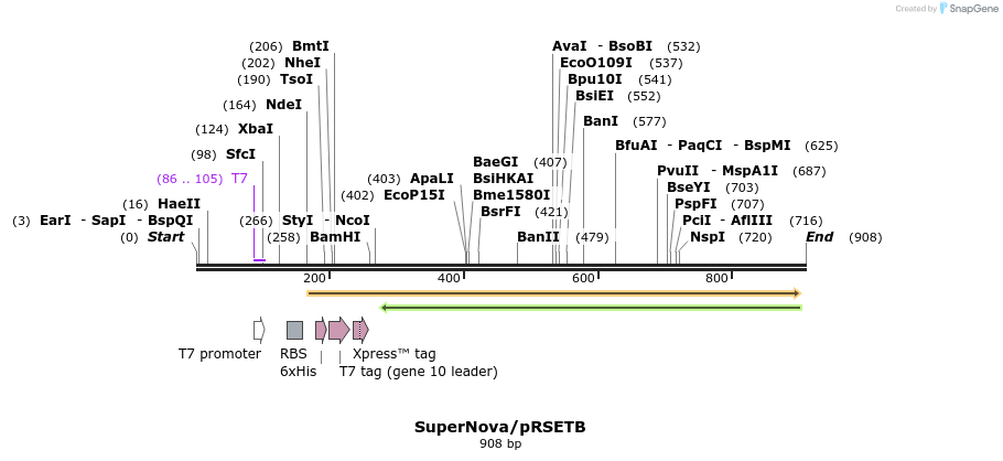 89531_map