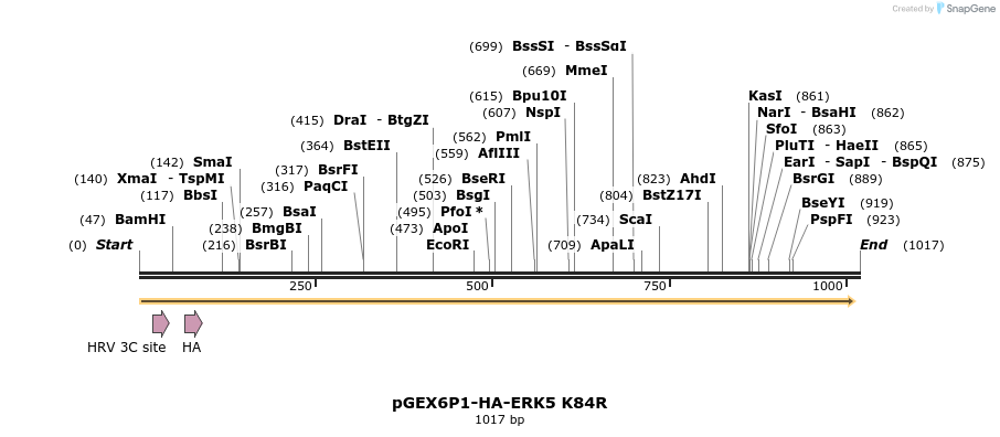 89535_map