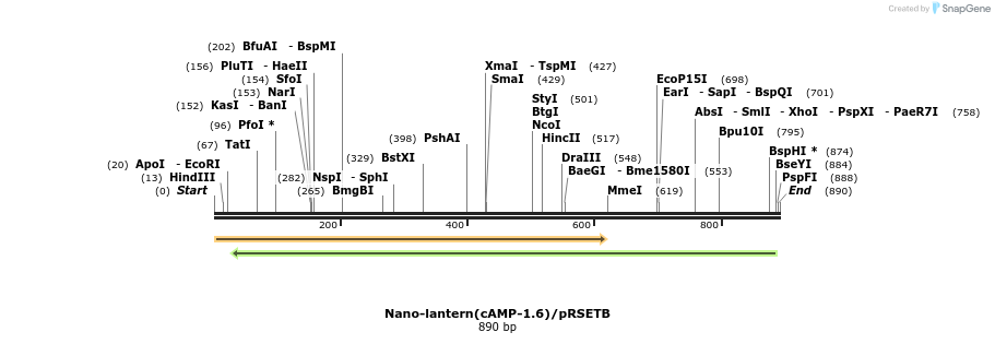 89537_map