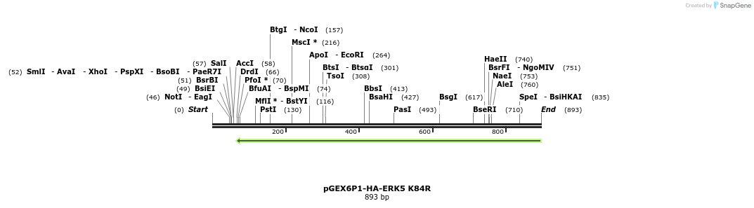 89539_map