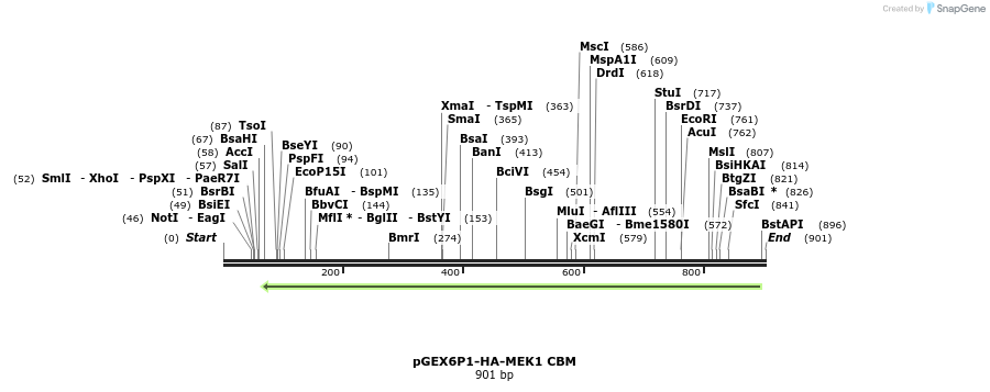 89541_map