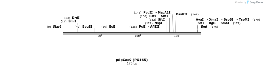 89545_map