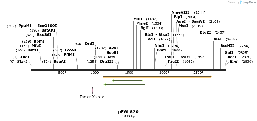 89561_map