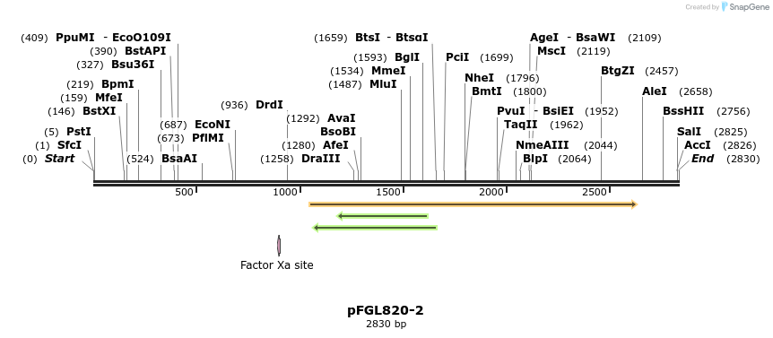 89564_map