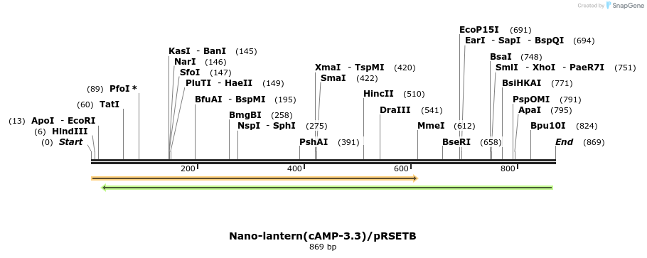 89567_map