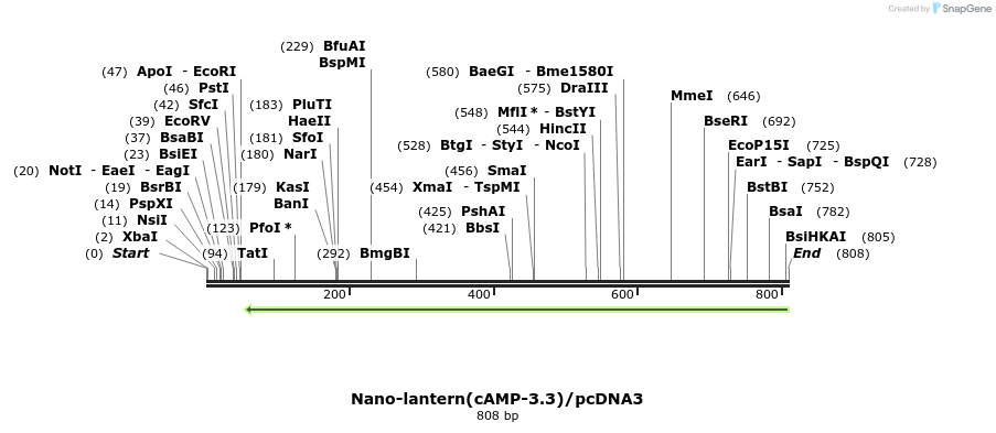 89570_map