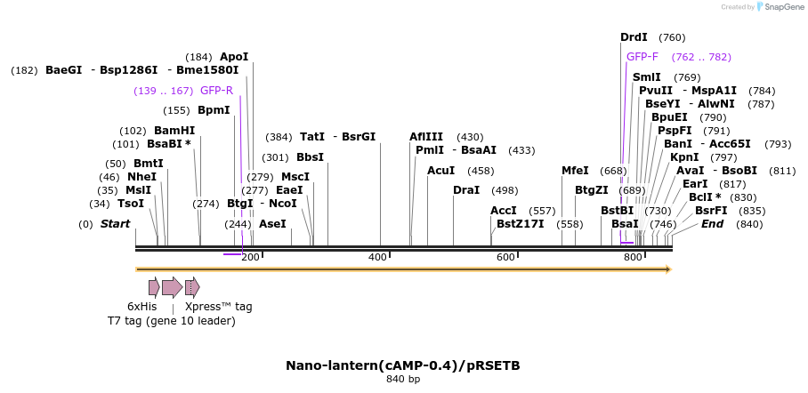 89577_map