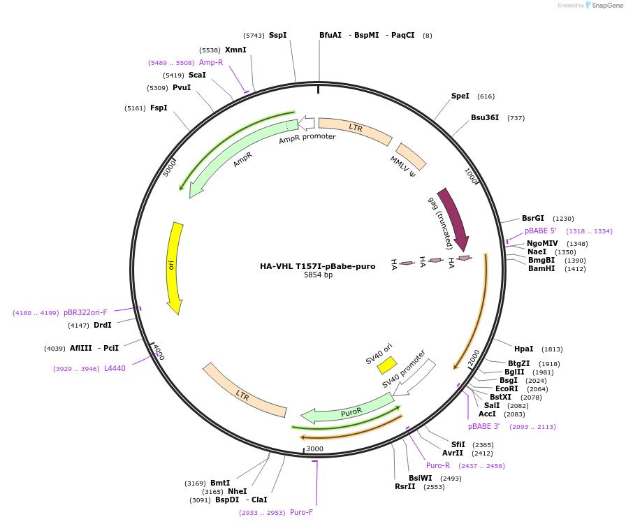 8958_map