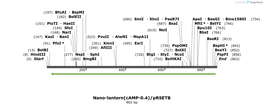 89580_map