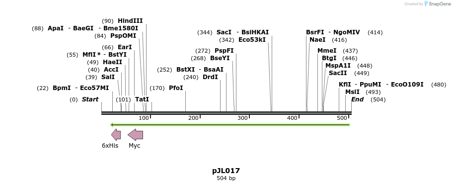 89583_map