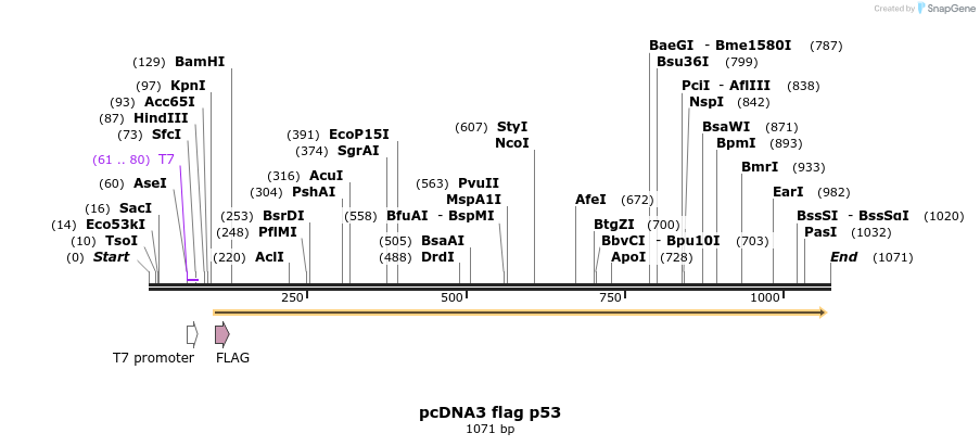 89585_map