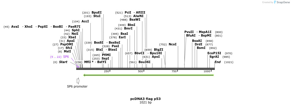 89588_map