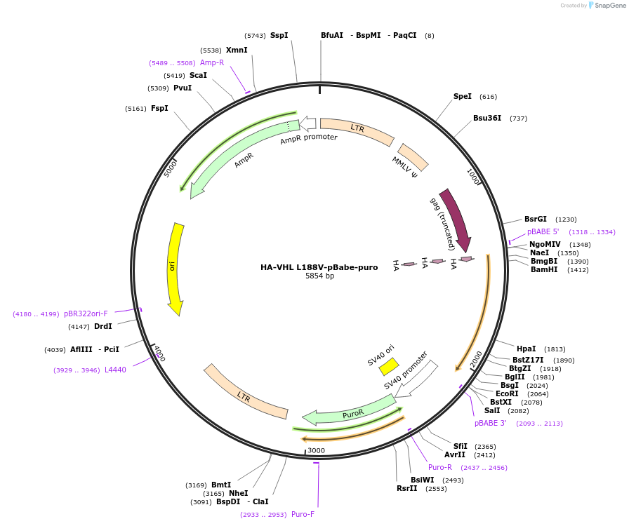 8959_map