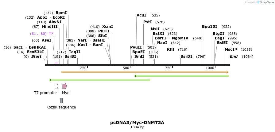 89590_map