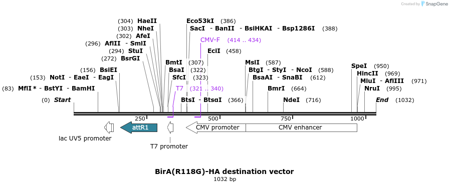 89592_map
