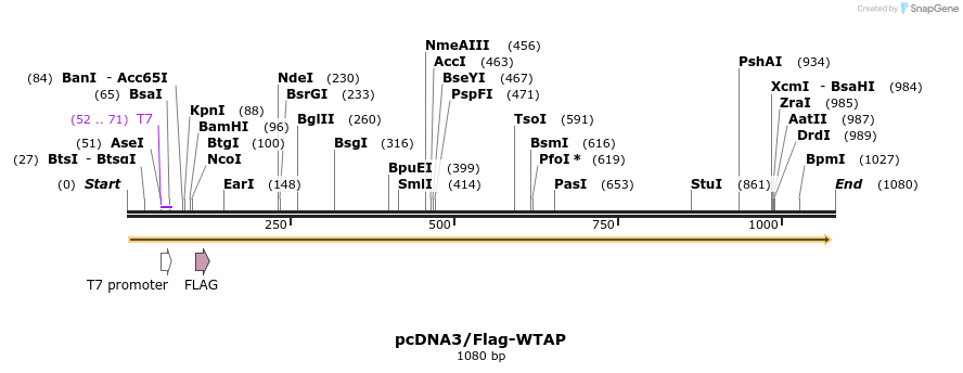 89596_map