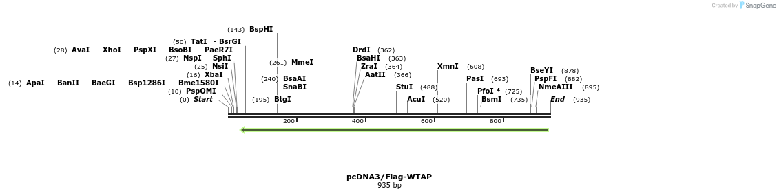 89597_map