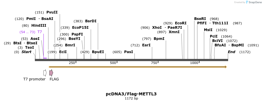 89600_map