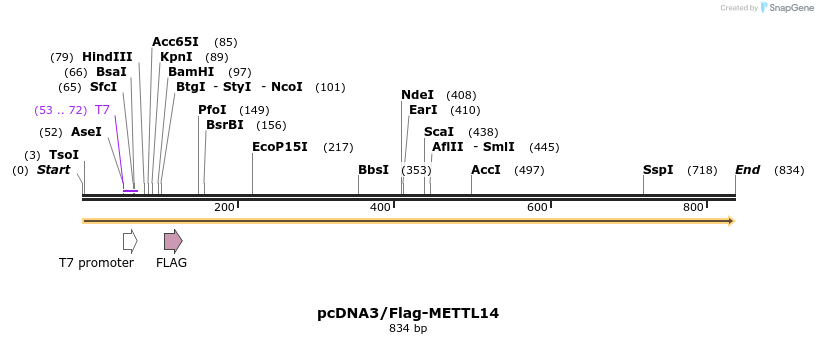 89601_map