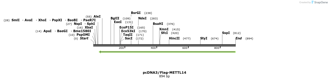 89602_map