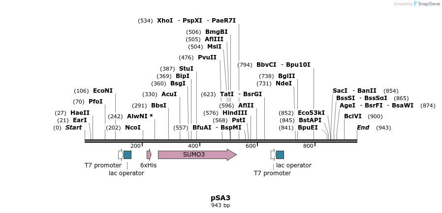 89603_map