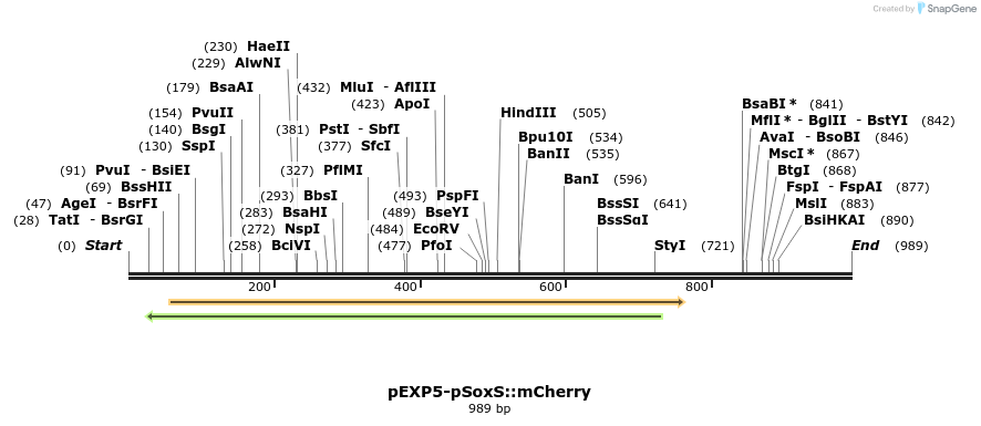 89605_map