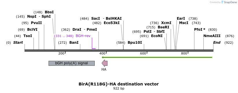 89608_map