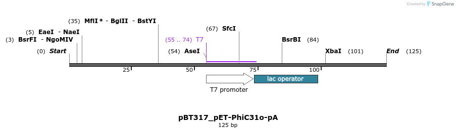 89609_map
