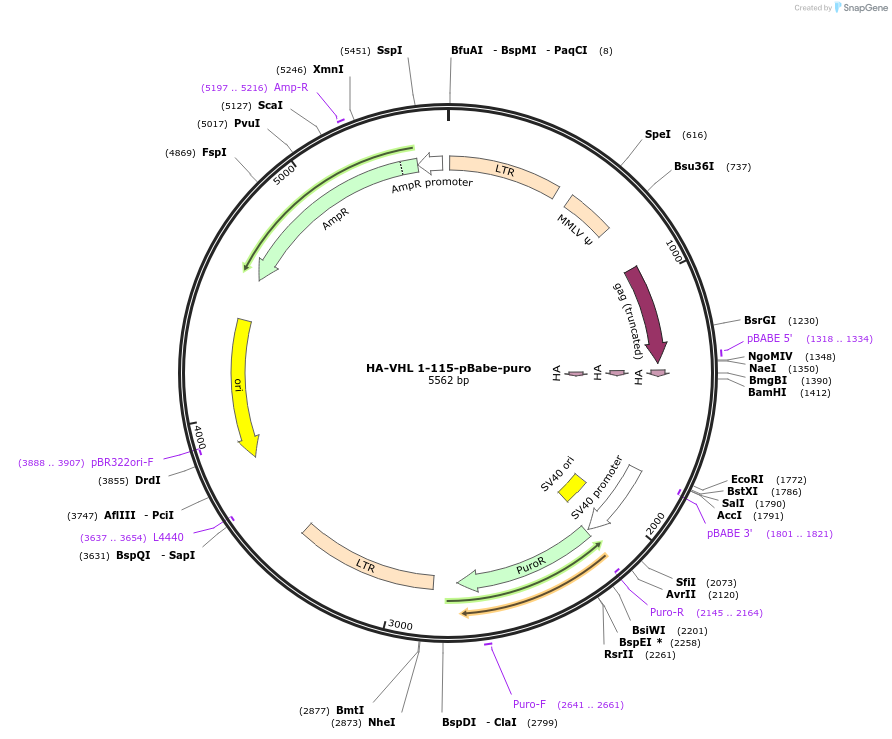 8961_map