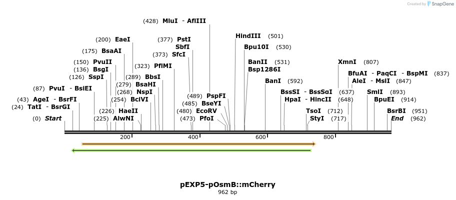 89610_map