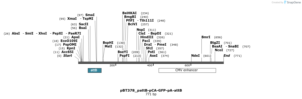 89611_map